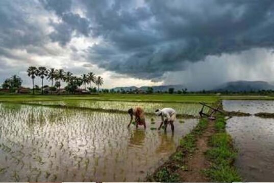 समय से पहले आएगा मानसून? 26 मई को केरल पहुंचने के आसार, 10 दिन में बस्तर में एंट्री संभव