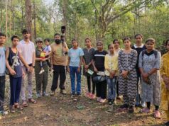 बारनवापारा के जंगल में दिखी दुर्लभ विशाल भारतीय गिलहरी, वन विभाग भी हुआ उत्साहित