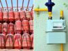 अब PNG और LPG दोनों रख सकेंगे उपभोक्ता, गैस सिलेंडर पर नया अपडेट