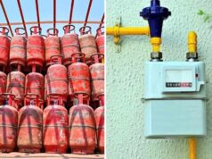 अब PNG और LPG दोनों रख सकेंगे उपभोक्ता, गैस सिलेंडर पर नया अपडेट