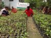 औषधि पादप बोर्ड की नई कार्ययोजना से आत्मनिर्भरता की नई इबारत लिख रही हैं ग्रामीण महिलाएं