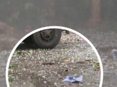 मध्य प्रदेश में मौसम अलर्ट: डिंडौरी में ओले, 39 जिलों में बारिश की संभावना 8 मई तक