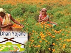 जनजातीय महिलाओं का आत्मनिर्भर सफर, वन धन केन्द्रों ने दिया नया आयाम