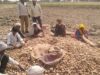 रिकॉर्ड उत्पादन के बाद संकट: यूपी के कोल्ड स्टोरेज भरने से किसानों की चिंता बढ़ी