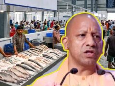 फिश मंडी से लेकर एक्वा पार्क तक: यूपी सरकार की नई योजना से बढ़ेगा मत्स्य उत्पादन और कारोबार