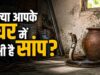 घर में सांप दिखना शुभ या अशुभ? जानें वास्तु शास्त्र क्या कहता है