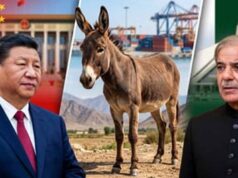 ग्वादर प्रोजेक्ट में तनाव: चीनी कंपनी की चेतावनी के बाद पाकिस्तान सरकार ने तुरंत खोली फाइलें