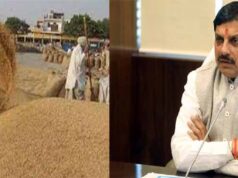 अब तक 100 लाख मीट्रिक टन से अधिक गेहूं का उपार्जन हुआ, अभी भी जारी