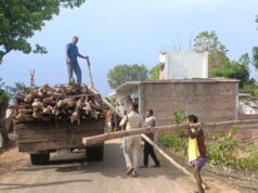 वन विभाग की सख्ती: गौरेला क्षेत्र में अवैध सागौन कटाई पर कार्रवाई