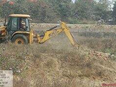 कम समय में शहर को मिलेगी सघन हरियाली