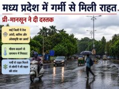 कई जिलों में तेज आंधी, बारिश और ओलावृष्टि का अलर्ट जारी