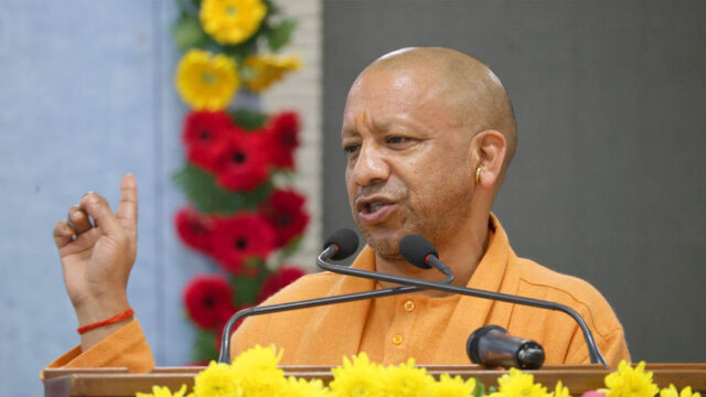 yogi_133_5-1.jpg