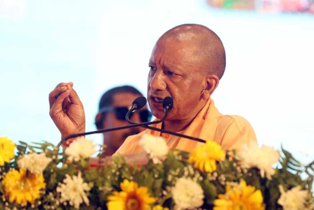 yogi_5765797-3.jpg