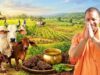 गांव-गांव बदल रही तस्वीर! गौ संरक्षण के जरिए योगी सरकार बढ़ा रही किसानों की आमदनी