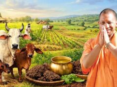 गांव-गांव बदल रही तस्वीर! गौ संरक्षण के जरिए योगी सरकार बढ़ा रही किसानों की आमदनी