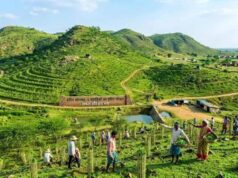 हरियाली बढ़ाने के लिए मनरेगा से पहाड़ियों पर हरित मॉडल विकसित करेगा प्रशासन