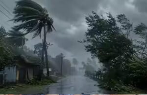 Monsoon Pattern Change: जून-जुलाई में कमजोर पड़ रहा मानसून, छत्तीसगढ़ में बारिश का नया ट्रेंड सामने आया
