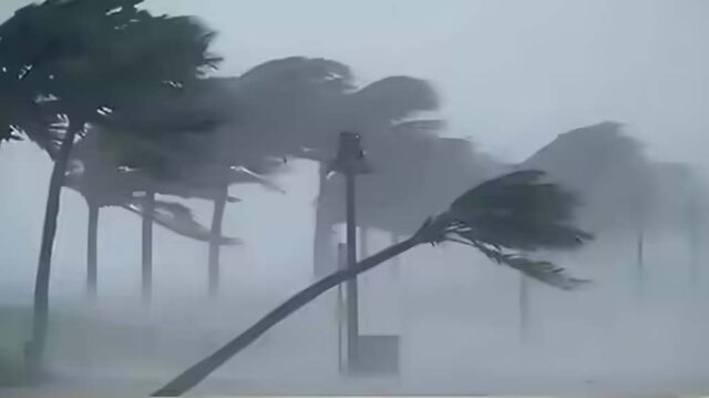 149-5.jpg