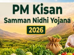 PM Kisan 20वीं किस्त अपडेट: ₹2000 ट्रांसफर होने से पहले फटाफट चेक करें अपना नाम और पेमेंट स्टेटस