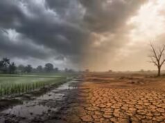 अल नीनो का कहर: जून में आधी रह गई बारिश, देश के इतिहास का सबसे बुरा मॉनसून बना संकट