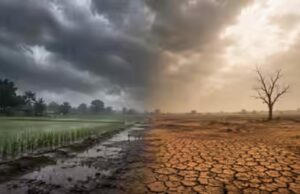 अल नीनो का कहर: जून में आधी रह गई बारिश, देश के इतिहास का सबसे बुरा मॉनसून बना संकट
