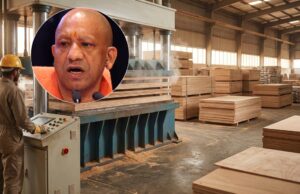 प्लाईवुड उद्योग को बढ़ावा देने की तैयारी, योगी सरकार नई एग्रोफॉरेस्ट्री नीति पर कर रही विचार
