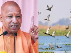 योगी सरकार के प्रयासों से UP में आर्द्रभूमियों का संरक्षण तेज, पर्यावरण संरक्षण को मिली नई रफ्तार