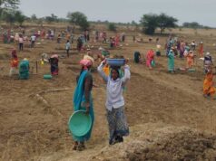 मनरेगा से जल संरक्षण को मिली रफ्तार, रोजगार और आजीविका सशक्त बनाने का महाअभियान