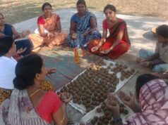 सीड बॉल से हरियाली की नई मुहिम, प्रकृति संरक्षण के जरिए ‘हरित जशपुर’ के निर्माण पर जोर