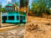 वन विभाग ने हटाया अवैध निर्माण, इटावा सफारी के पास जमीन पर किया वृक्षारोपण