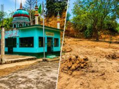 वन विभाग ने हटाया अवैध निर्माण, इटावा सफारी के पास जमीन पर किया वृक्षारोपण