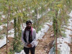 आधुनिक खेती का कमाल: करेले की फसल ने महासमुंद के किसान को दिलाया लाखों का लाभ