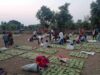 Bastar News: तेंदूपत्ता खरीदी ने रचा इतिहास, 50 हजार संग्राहकों की दूरी बनी चिंता का विषय