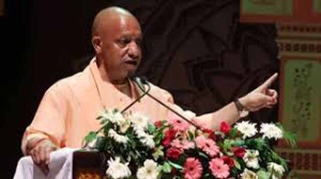 cm_yogi_2-7.jpg