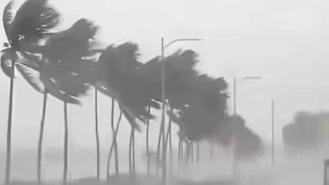 rain_2-8.jpg
