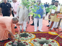 गोरखपुर से पौधरोपण महायज्ञ की शुरुआत करेंगे CM योगी, पर्यावरण संरक्षण को मिलेगा बढ़ावा