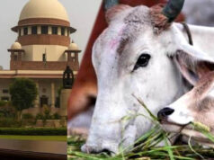 Supreme Court: तमिलनाडु सरकार की याचिका पर बड़ा आदेश, गाय-बछड़े से जुड़े मामले में हाईकोर्ट का फैसला पलटा
