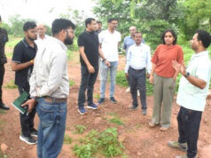 नमो हरित-नगर योजना से बदलेंगे शहरों के हालात, हरियाली बढ़ेगी और प्रदूषण होगा कम