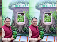 CM विष्णुदेव साय बोले- आज लगाया हर पौधा आने वाली पीढ़ियों के सुरक्षित भविष्य की मजबूत नींव बनेगा
