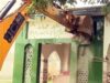 संभल प्रशासन की बड़ी कार्रवाई, दो एकड़ सरकारी जमीन कराई कब्जामुक्त