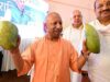 800 से अधिक किस्मों की प्रदर्शनी, यूपी के आम बने वैश्विक पहचान: योगी आदित्यनाथ