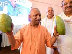 800 से अधिक किस्मों की प्रदर्शनी, यूपी के आम बने वैश्विक पहचान: योगी आदित्यनाथ