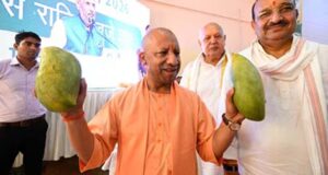 800 से अधिक किस्मों की प्रदर्शनी, यूपी के आम बने वैश्विक पहचान: योगी आदित्यनाथ