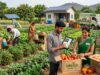 खेत से ब्रांड तक: ऑर्गेनिक फार्मिंग में यूपी के युवाओं के लिए कमाई का नया मॉडल