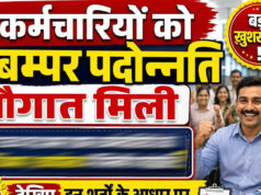 MSME विभाग के कर्मचारियों को बड़ी सौगात! 10 साल बाद 217 प्रमोशन, 116 नए पदों पर होगी भर्ती