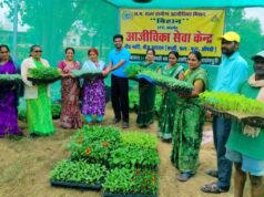 गुणवत्तापूर्ण पौधों से बढ़ रही आय और आत्मनिर्भरता