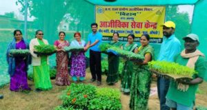 गुणवत्तापूर्ण पौधों से बढ़ रही आय और आत्मनिर्भरता
