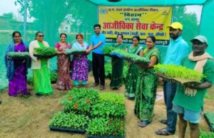 गुणवत्तापूर्ण पौधों से बढ़ रही आय और आत्मनिर्भरता