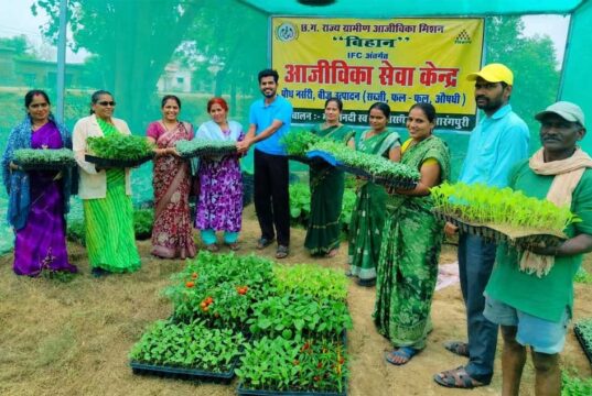 गुणवत्तापूर्ण पौधों से बढ़ रही आय और आत्मनिर्भरता