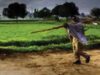 छत्तीसगढ़ में बारिश पर ब्रेक, किसानों की बोवनी-रोपाई की रफ्तार पड़ी धीमी